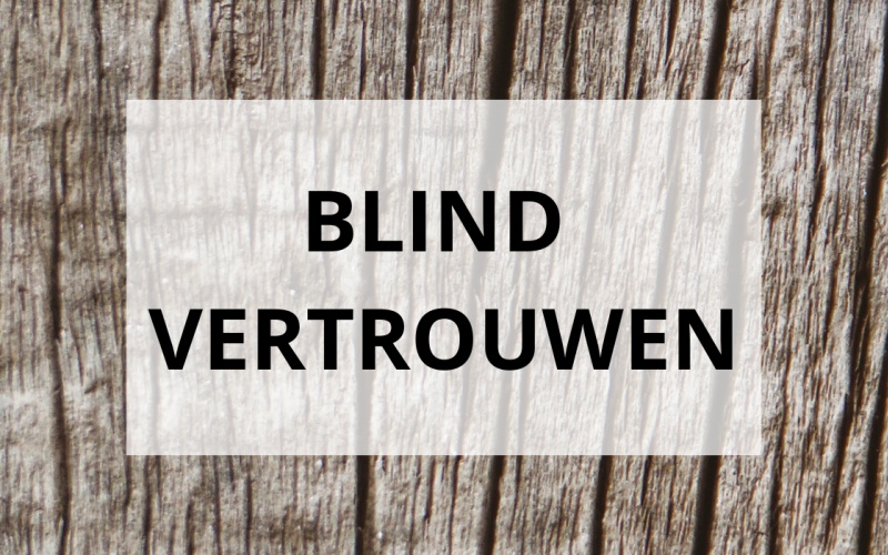 BLIND VERTROUWEN